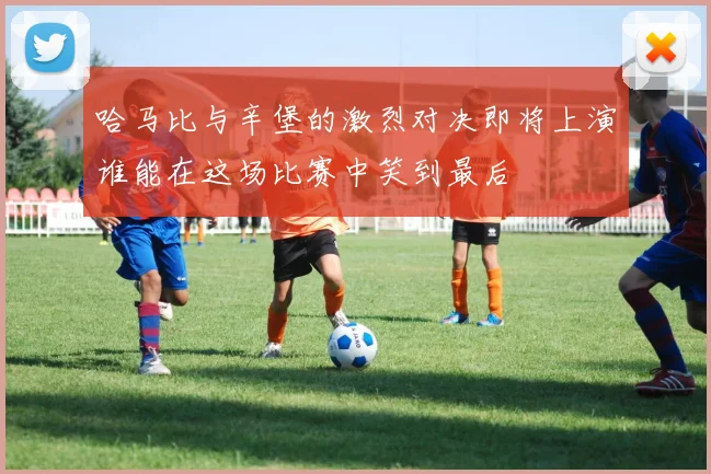 哈马比与辛堡的激烈对决即将上演谁能在这场比赛中笑到最后