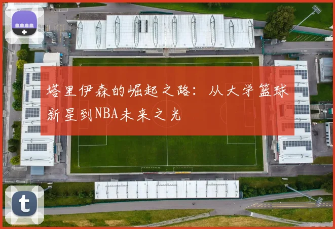 塔里伊森的崛起之路：从大学篮球新星到NBA未来之光