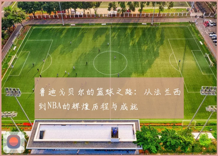鲁迪戈贝尔的篮球之路：从法兰西到NBA的辉煌历程与成就