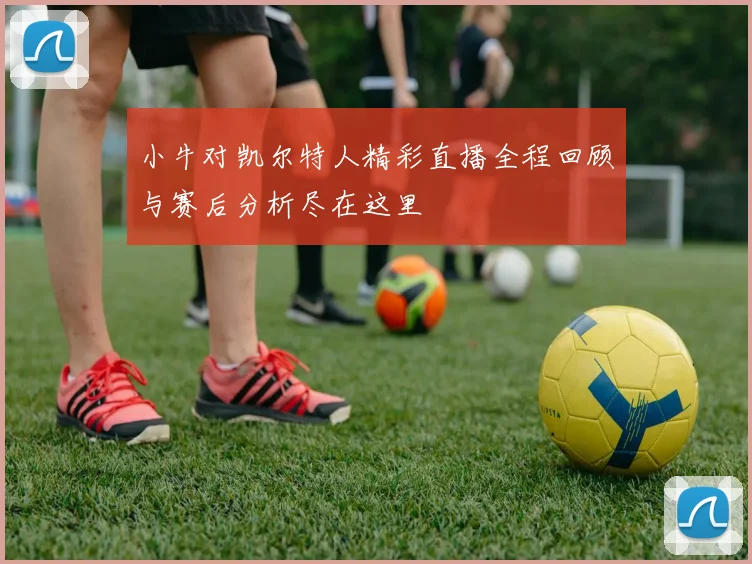 小牛对凯尔特人精彩直播全程回顾与赛后分析尽在这里