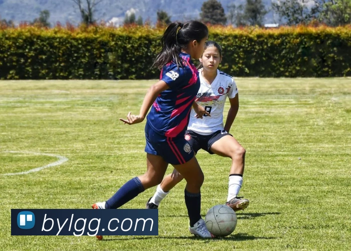 亚博体育服务体系